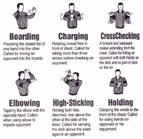 A cool guide to NHL referee hand signals : r/coolguides